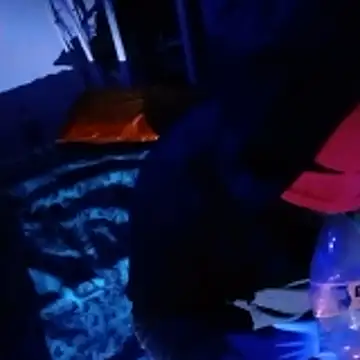 Snapshot of johnboones10 chatting on February 22, 2026, 5:00 pm johnboones10 online show from February 22, 2026, 5:00 pm