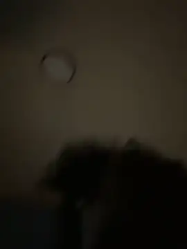 bunbun420247 online show from December 5, 2025, 11:30 am