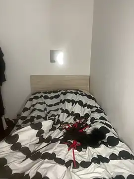 dreamgt online show from March 25, 2026, 12:00 pm