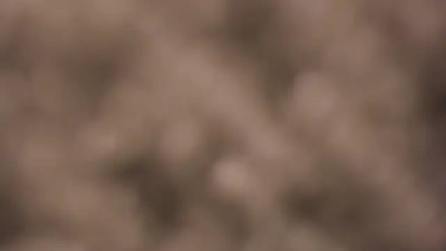 Snapshot of lauren_bigboobs22 chatting on March 4, 2026, 6:14 pm lauren bigboobs22 online show from March 4, 2026, 6:14 pm