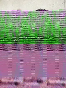 Silly Boy12 online show from November 6, 2025, 8:32 pm