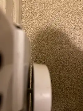 Pedro98801 online show from December 18, 2025, 3:56 am