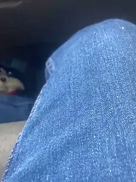 Pedro98801 online show from February 2, 2026, 11:47 pm