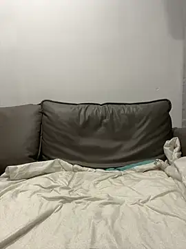 ruyi-13 online show from September 13, 2025, 3:23 pm