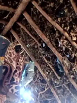 Hot rachnasexy online show from March 9, 2026, 5:55 am