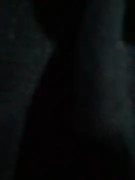 hmleonardo online show from April 15, 2026, 7:26 am