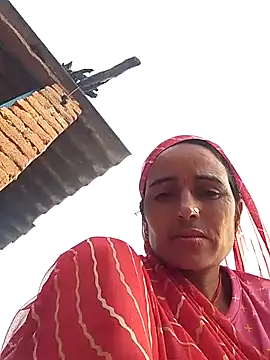 Jalebi bay online show from October 15, 2025, 2:22 am