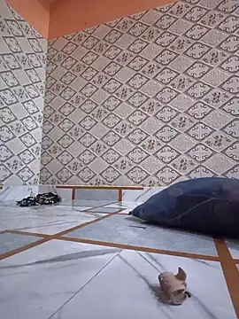 Aidakhan1212 online show from March 10, 2026, 4:23 pm