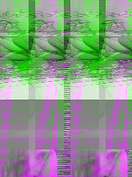 couple2612 online show from October 7, 2025, 9:39 am