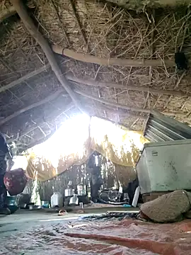 LUCKY cut online show from September 11, 2025, 11:21 am