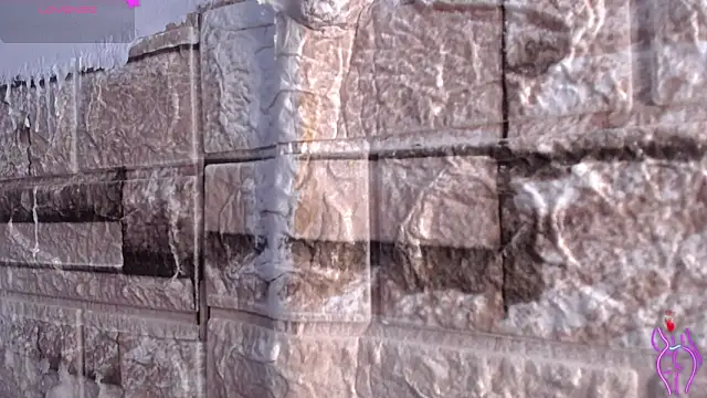 Bicky 24 online show from March 9, 2026, 8:18 am