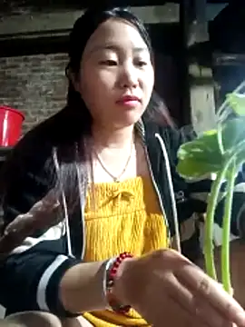 siki-00 online show from October 25, 2025, 11:54 pm