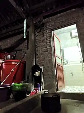 siki-00 online show from February 8, 2026, 2:20 pm