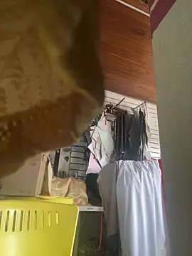 XBODTRIIPX online show from March 7, 2026, 8:50 pm