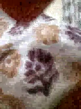 Snapshot of roshankakol chatting on November 21, 2025, 5:33 pm roshankakol online show from November 21, 2025, 5:33 pm