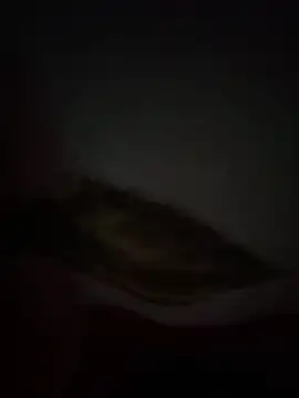 Flash356 online show from February 24, 2026, 9:13 pm