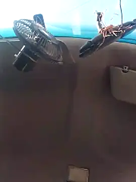 Ghkjccvk online show from February 20, 2026, 3:34 pm