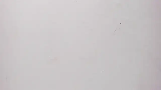 Sofia summers online show from November 25, 2025, 3:39 am