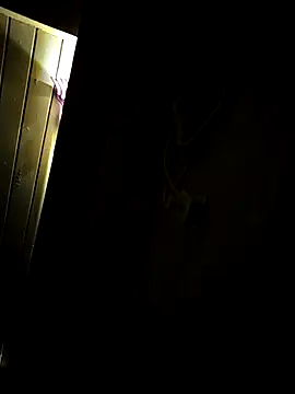 shobha lover02 online show from April 18, 2026, 9:37 pm