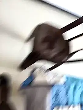 Snapshot of Chanderi19 chatting on September 30, 2025, 9:25 am Chanderi19 online show from September 30, 2025, 9:25 am