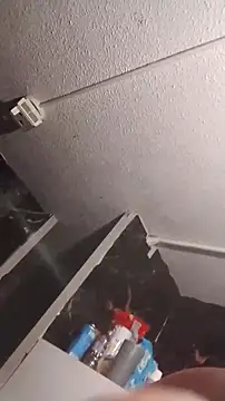 biggdoggent online show from October 9, 2025, 3:37 am