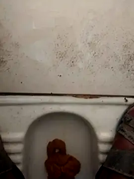 haryanaboypanipat12 online show from March 17, 2026, 1:21 am