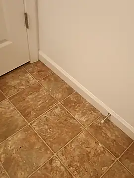 Dotado901xh online show from April 13, 2026, 3:23 am