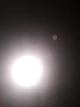 Cachorrinha2025 online show from October 22, 2025, 5:45 pm