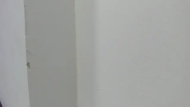 abbiecollins js online show from March 28, 2026, 4:23 am