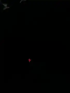 sweyabb online show from October 9, 2025, 11:14 pm