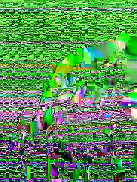 Sexyquerubin online show from October 8, 2025, 3:42 pm