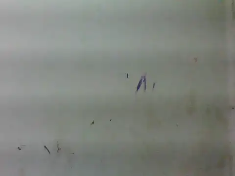 sweet bella16 online show from January 16, 2026, 5:33 am