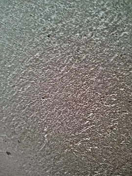 bold guy 1234 online show from March 30, 2026, 6:03 am