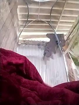 Emmyly 123 online show from January 7, 2026, 3:31 am