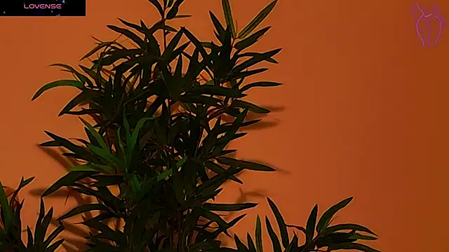 CoraVex online show from September 26, 2025, 4:27 am