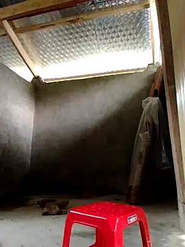 donna-bae online show from October 3, 2025, 3:58 am