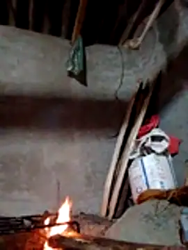 donna-bae online show from November 18, 2025, 11:37 pm