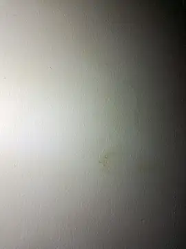 BigD Mikee online show from December 17, 2025, 4:46 pm