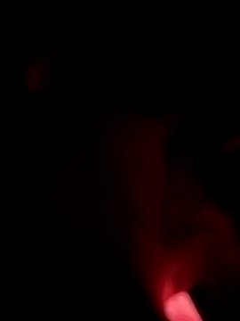 LeLoup49 online show from July 1, 2026, 2:13 am