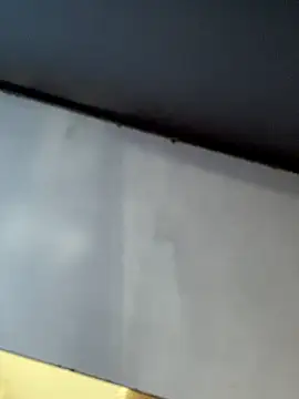 SoyGaelOso online show from October 20, 2025, 7:42 am