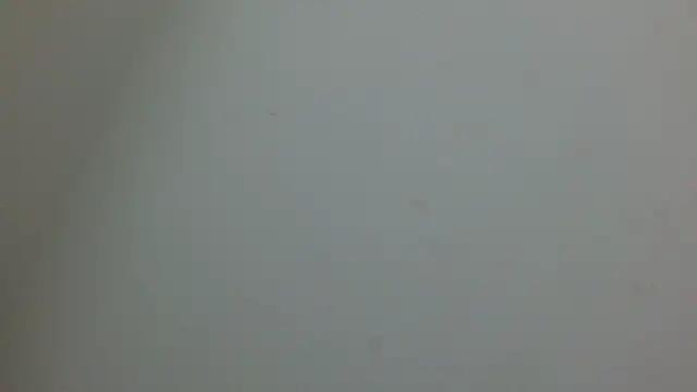 Snapshot of cristal1609 chatting on May 14, 2026, 1:07 pm cristal1609 online show from May 14, 2026, 1:07 pm