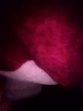 gccnfxdgg online show from January 16, 2026, 2:54 pm