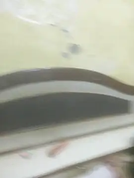 Cute-Charvii online show from November 28, 2025, 6:38 am