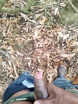 Snapshot of DICKLANKA chatting on September 27, 2025, 6:29 am DICKLANKA online show from September 27, 2025, 6:29 am