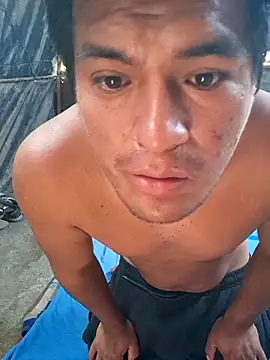 TNestorT online show from November 28, 2025, 2:20 pm