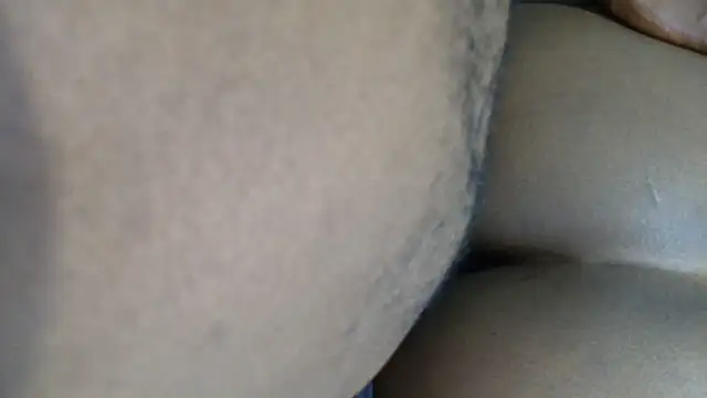 Dandelion enigman online show from October 10, 2025, 2:32 am