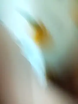 minh minh97 online show from January 17, 2026, 4:33 pm