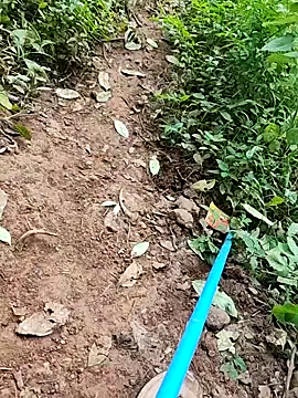 telugumodda4396 online show from September 26, 2025, 6:28 am