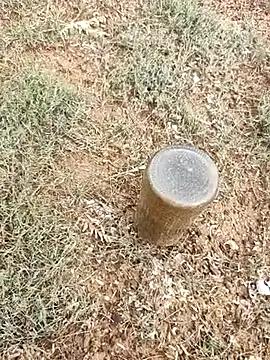 telugumodda4396 online show from October 6, 2025, 2:31 am