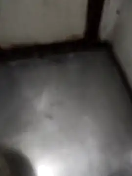 telugumodda4396 online show from December 17, 2025, 1:44 am